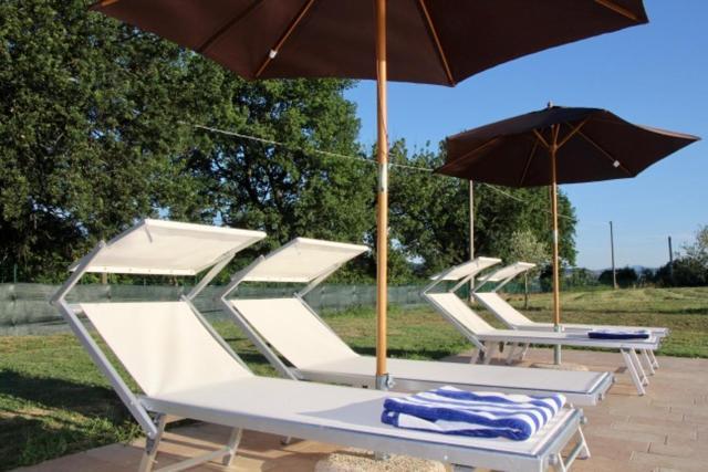 Relais Villa Sofia Calcinelli Eksteriør billede