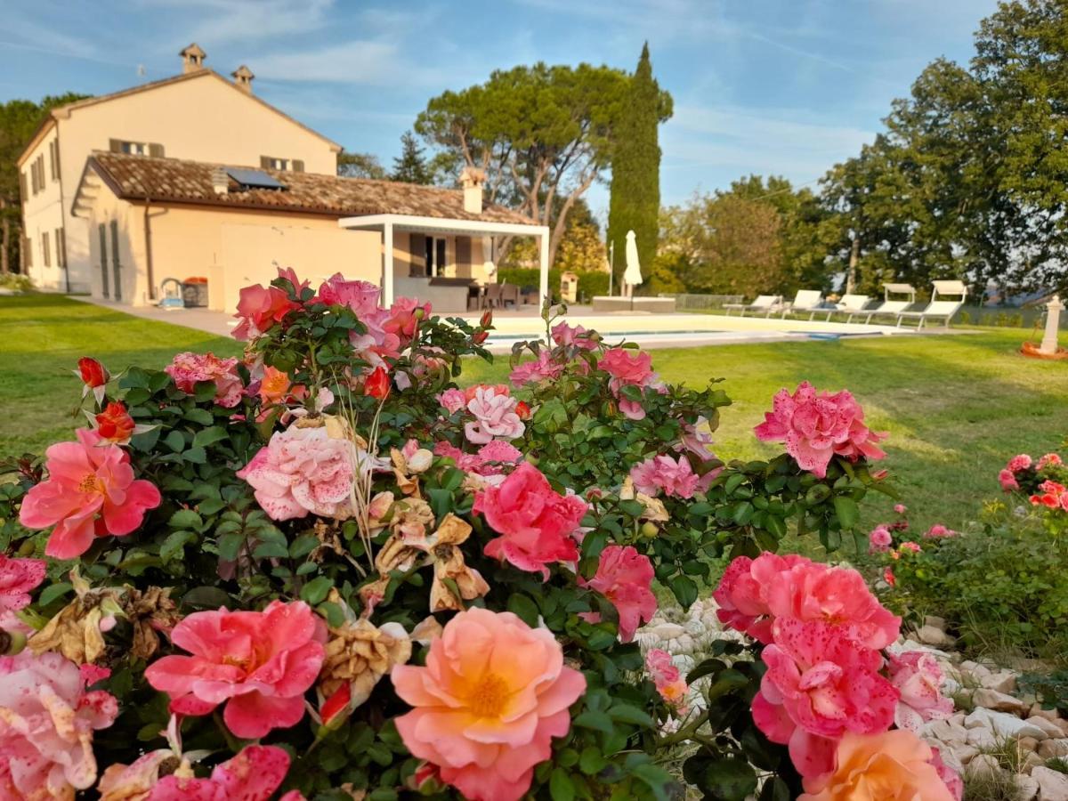 Relais Villa Sofia Calcinelli Eksteriør billede