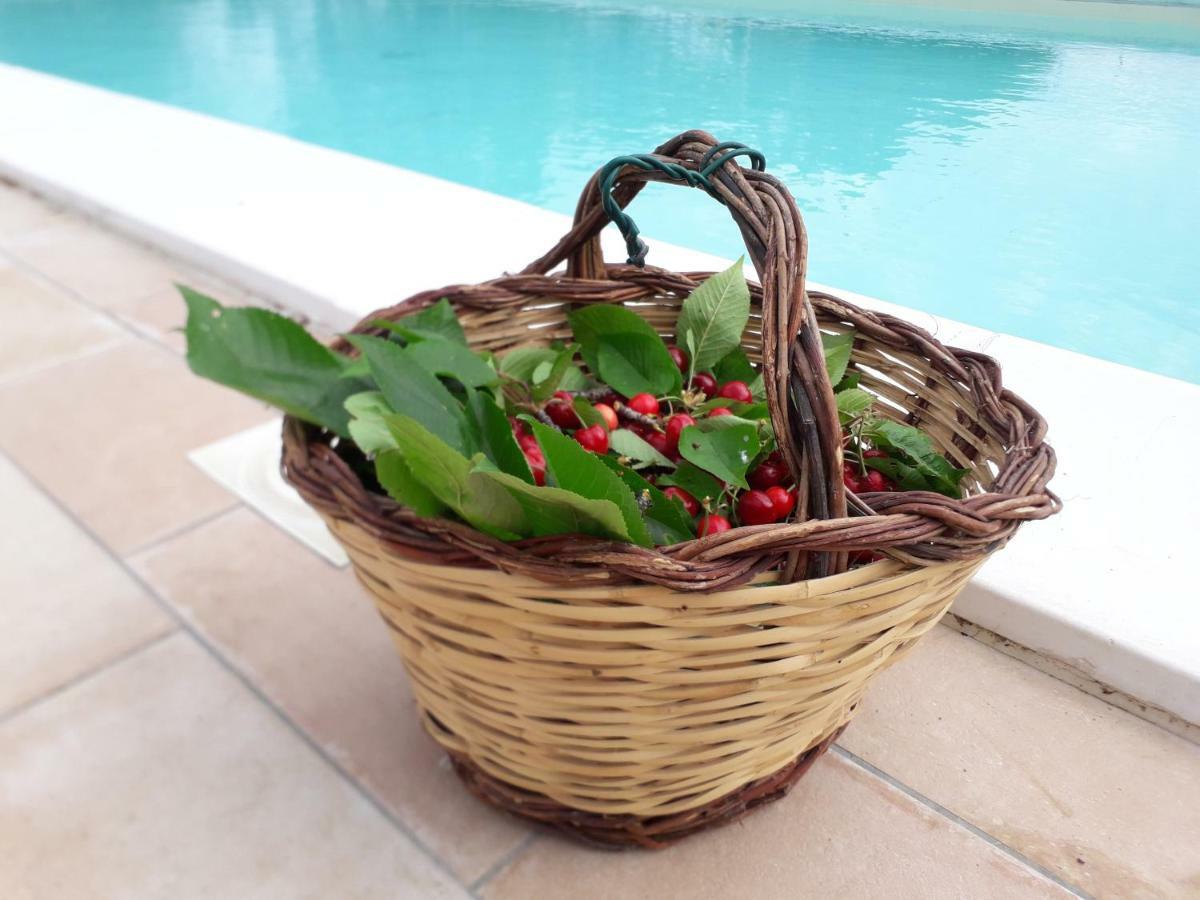 Relais Villa Sofia Calcinelli Eksteriør billede